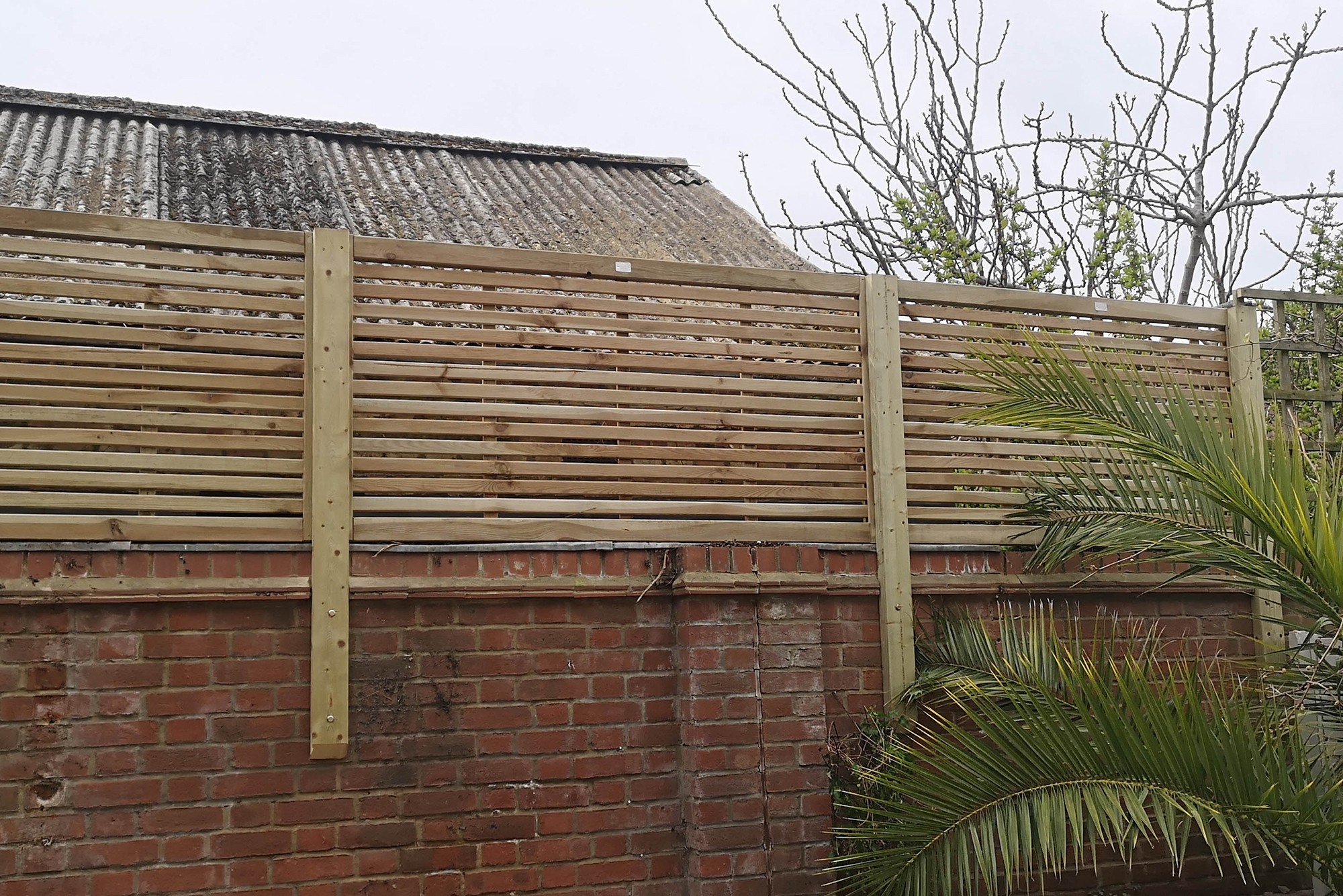 Framed Lateral Trellis