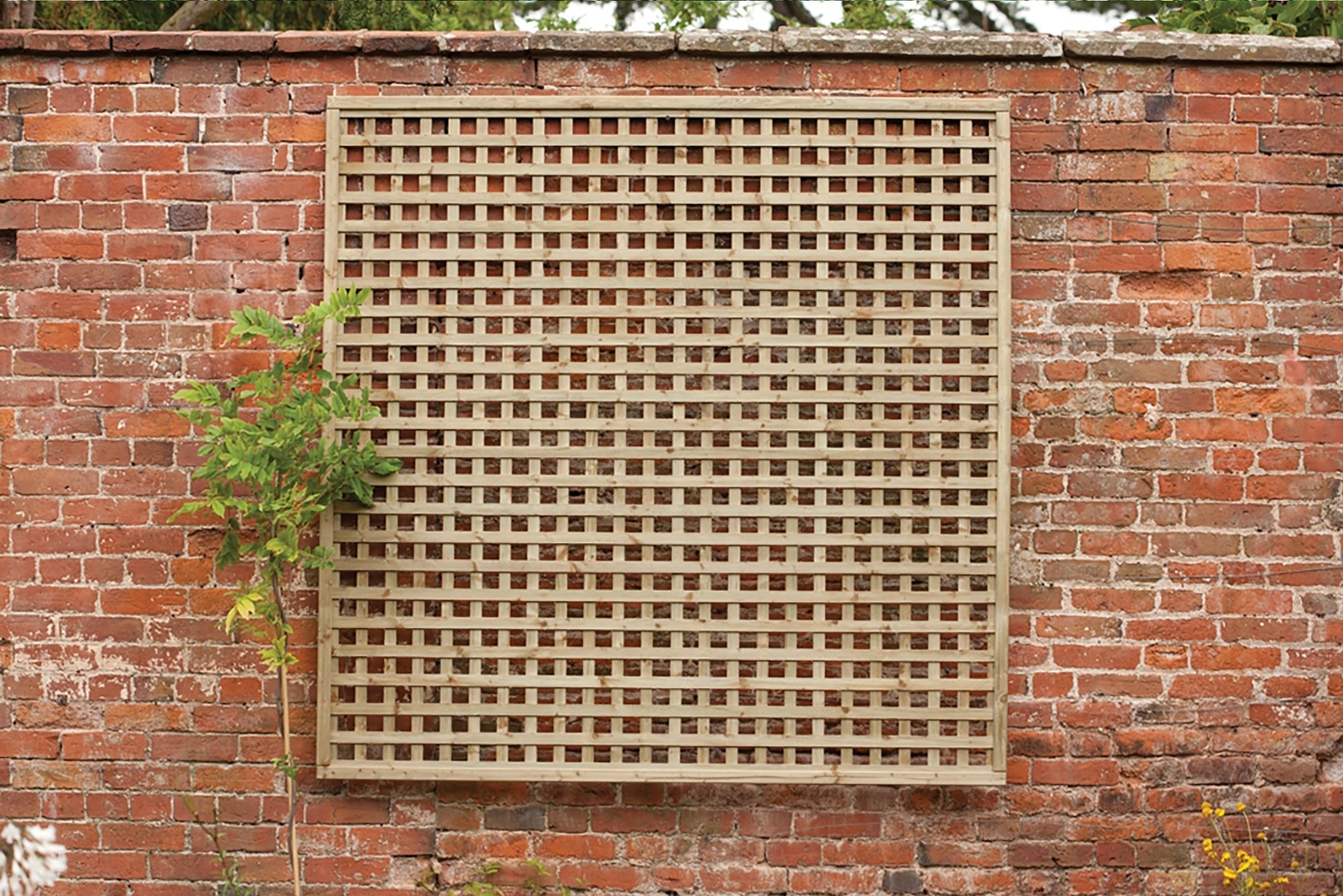 Forest square mesh trellis 