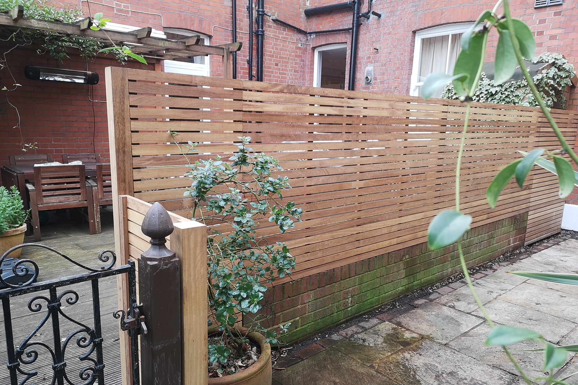 Iroko Lateral Trellis