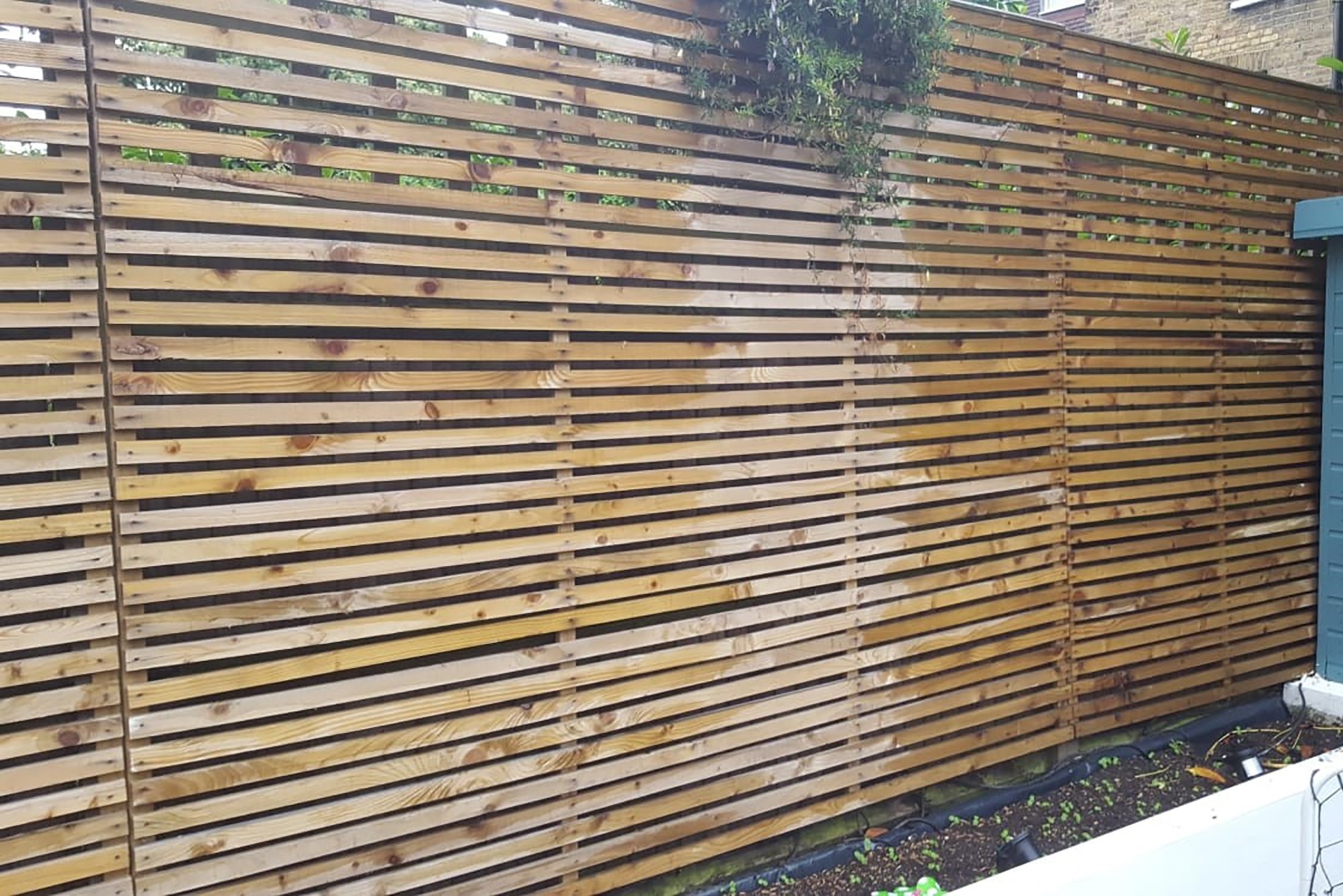 Sawn softwood lateral trellis