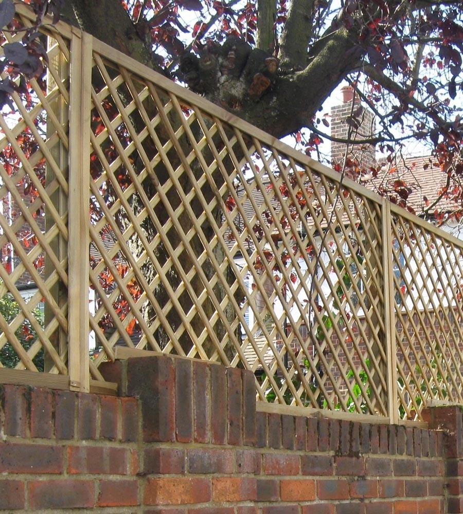 Polish Diamond trellis