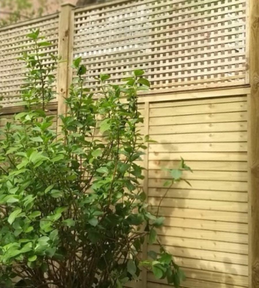 Privacy square trellis