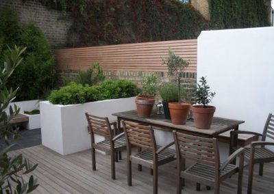 Meranti lateral trellis