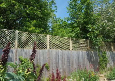 Polish diamond trellis