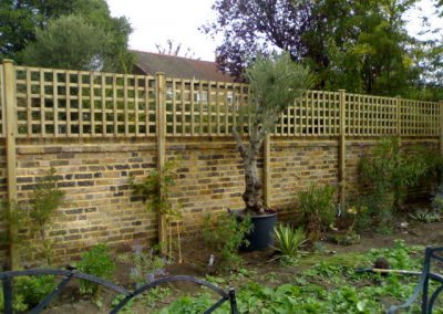 4" trellis