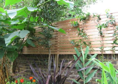 Bespoke lateral trellis