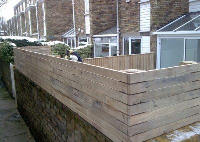 Bespoke lateral trellis